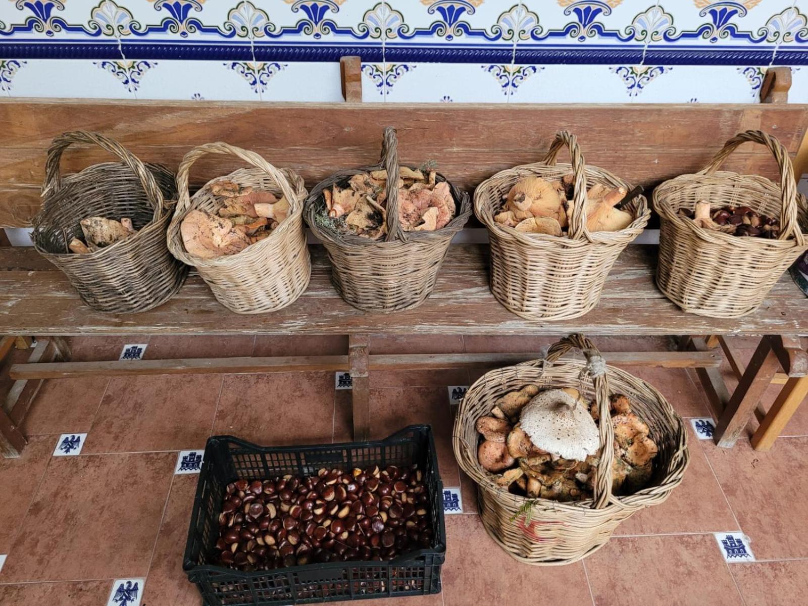 Willa Casa Pozo Tarama Casavieja Zewnętrze zdjęcie